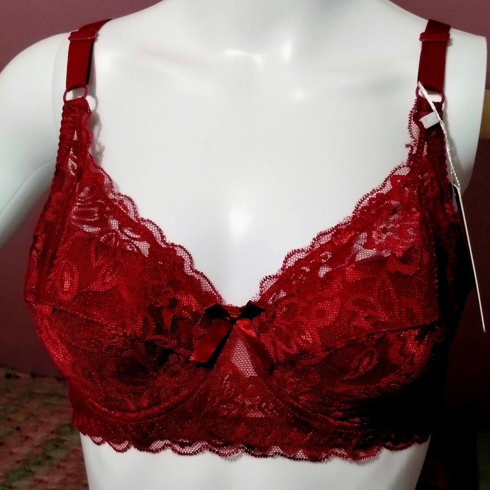 Red Lace Bra Ribbon Accent